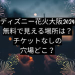 ディズニー 花火 大阪 2024 無料