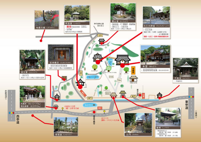 深大寺 節分 2025 芸能人