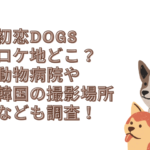 初恋dogs ロケ地 どこ