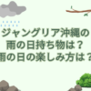 ジャングリア 沖縄 雨の日 持ち物