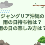 ジャングリア 沖縄 雨の日 持ち物