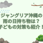 ジャングリア 沖縄 雨の日 持ち物
