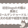 初恋Dogs　犬種