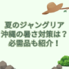 夏のジャングリア 暑さ対策