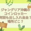 ジャングリア沖縄 コインロッカー 何回も