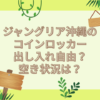 ジャングリア沖縄　コインロッカー　出し入れ自由