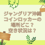 ジャングリア沖縄 コインロッカー