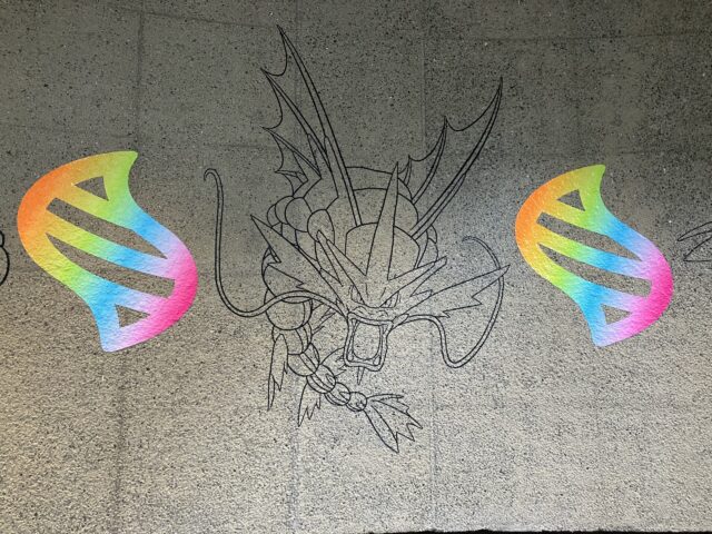 ポケモン発見大作戦 答え