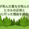 光が死んだ夏 正体