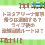 トヨタアリーナ東京 帰り　混雑