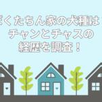 ぼくたちん家 犬種