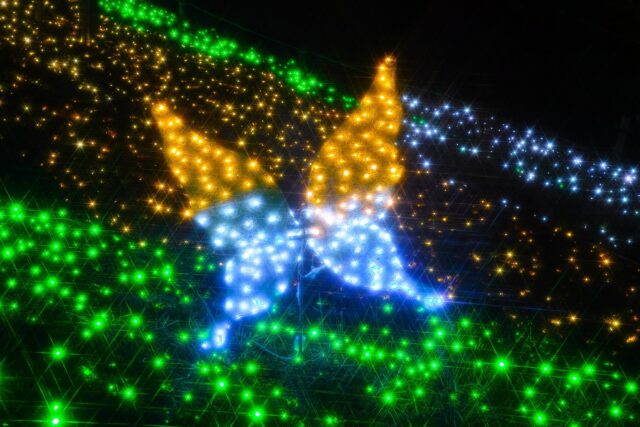 相模湖　イルミリオン　混雑