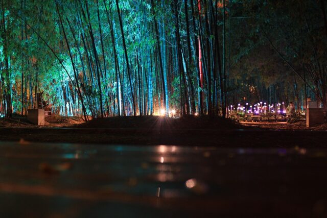 相模湖　イルミリオン　混雑