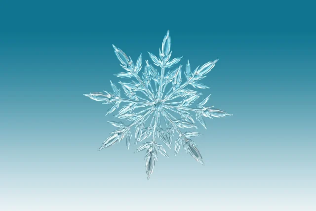 雪の結晶 ガチャガチャ 設置場所 どこ