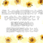 盤上の向日葵 ロケ地 ひまわり畑