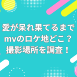 愛が呆れ果てるまで mv　ロケ地